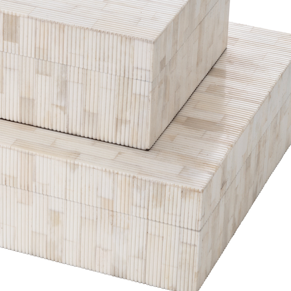 Kiste Box Scoop L