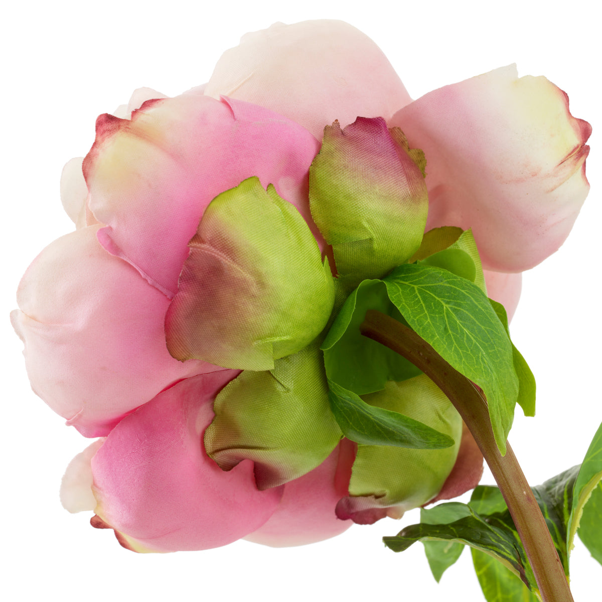 Grand Showroom '25 Bouquet Of Peonies Real Touch 48 pcs/2 Varieties