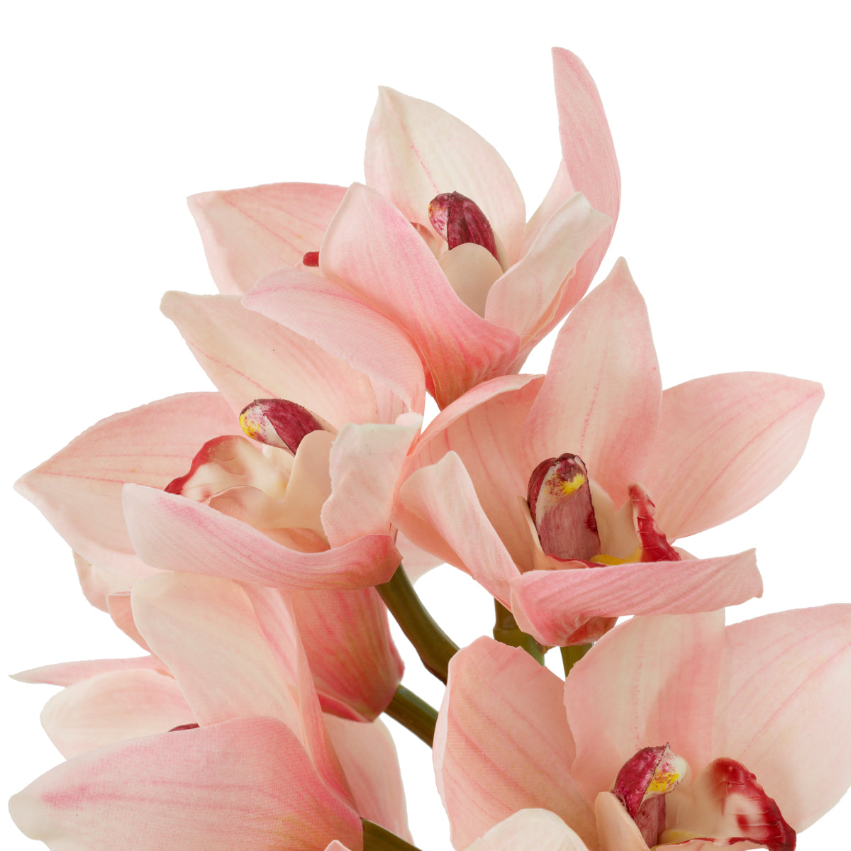 Grand Showroom '25 Bouquet Of Cymbidium Orchids Real Touch 36 Pcs