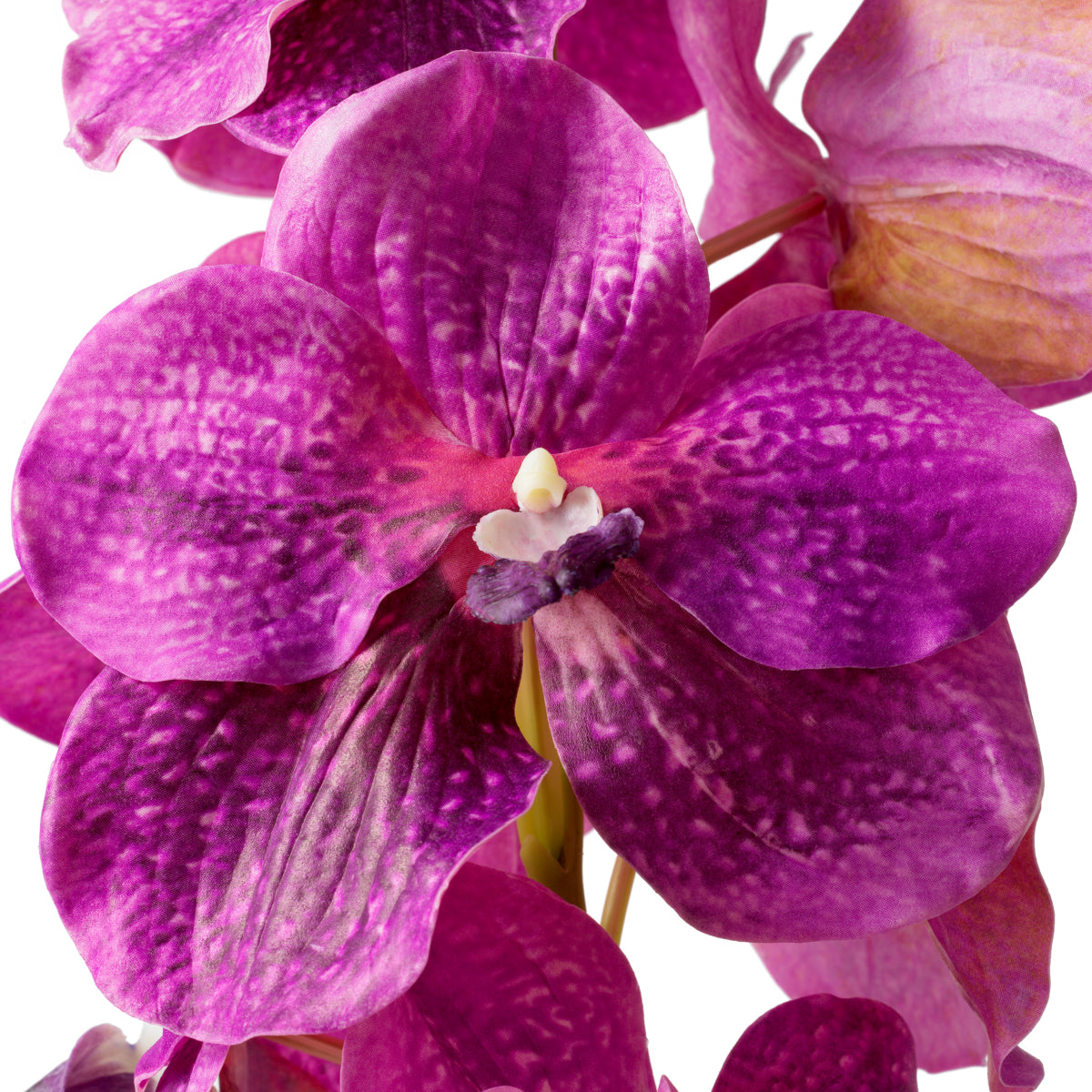 Artificial Flowers & Greenery Bouquet Of Vanda Orchids Real Touch 24 Pcs