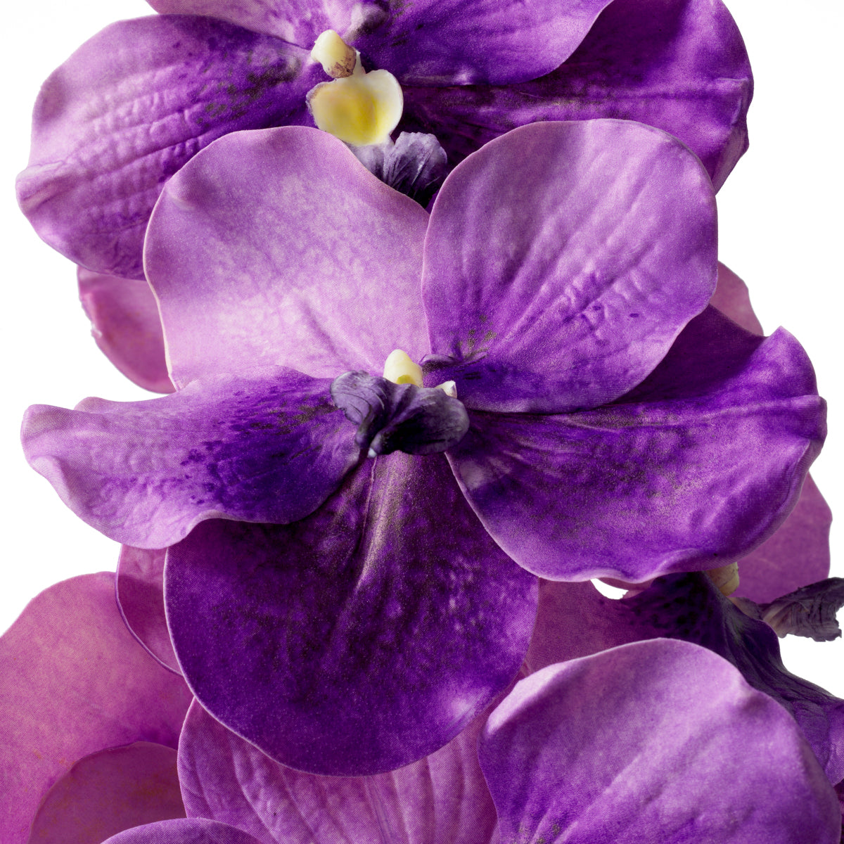 Grand Showroom '25 Bouquet Of Vanda Orchids Real Touch 24 Pcs