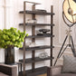 Vitrine Geo