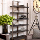 Vitrine Geo