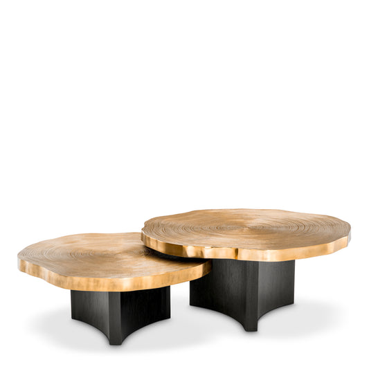 Couchtisch Thousand Oaks Set Of 2