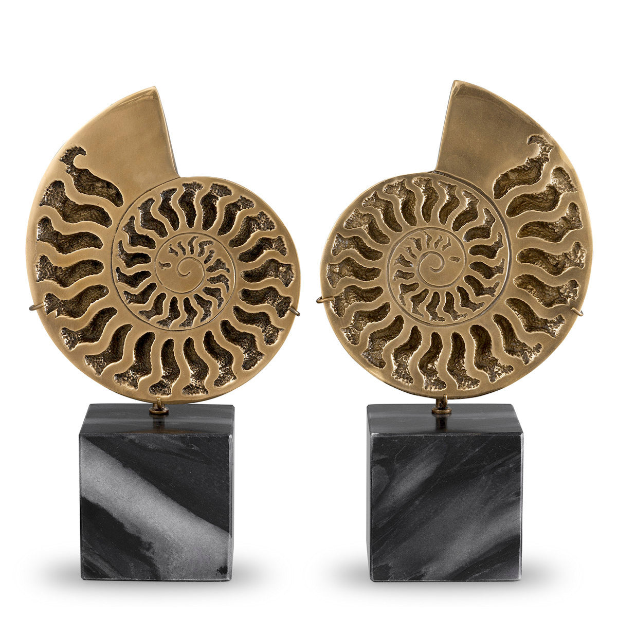 Deko-Gegenstand Ammonite Set Of 2