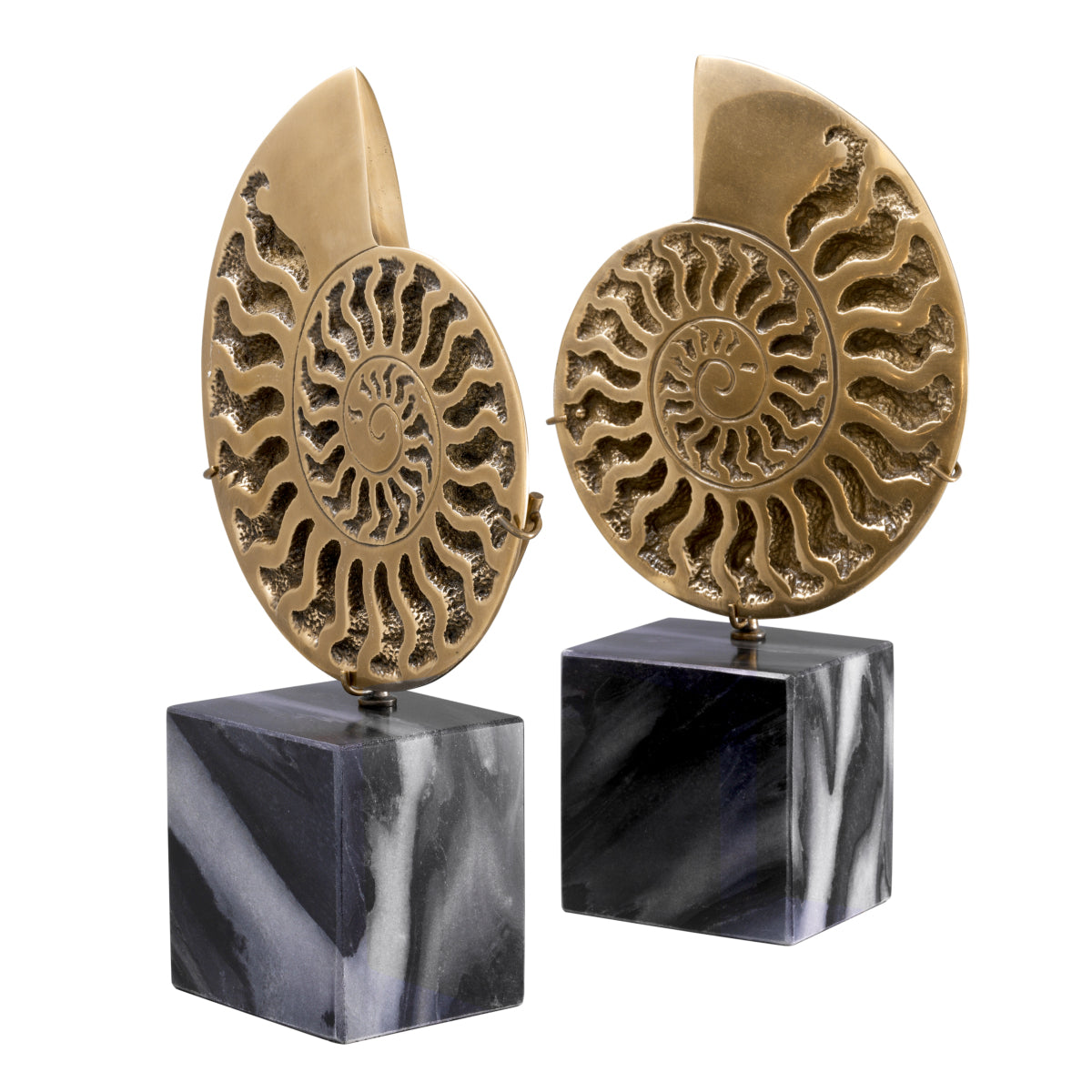 Deko-Gegenstand Ammonite Set Of 2