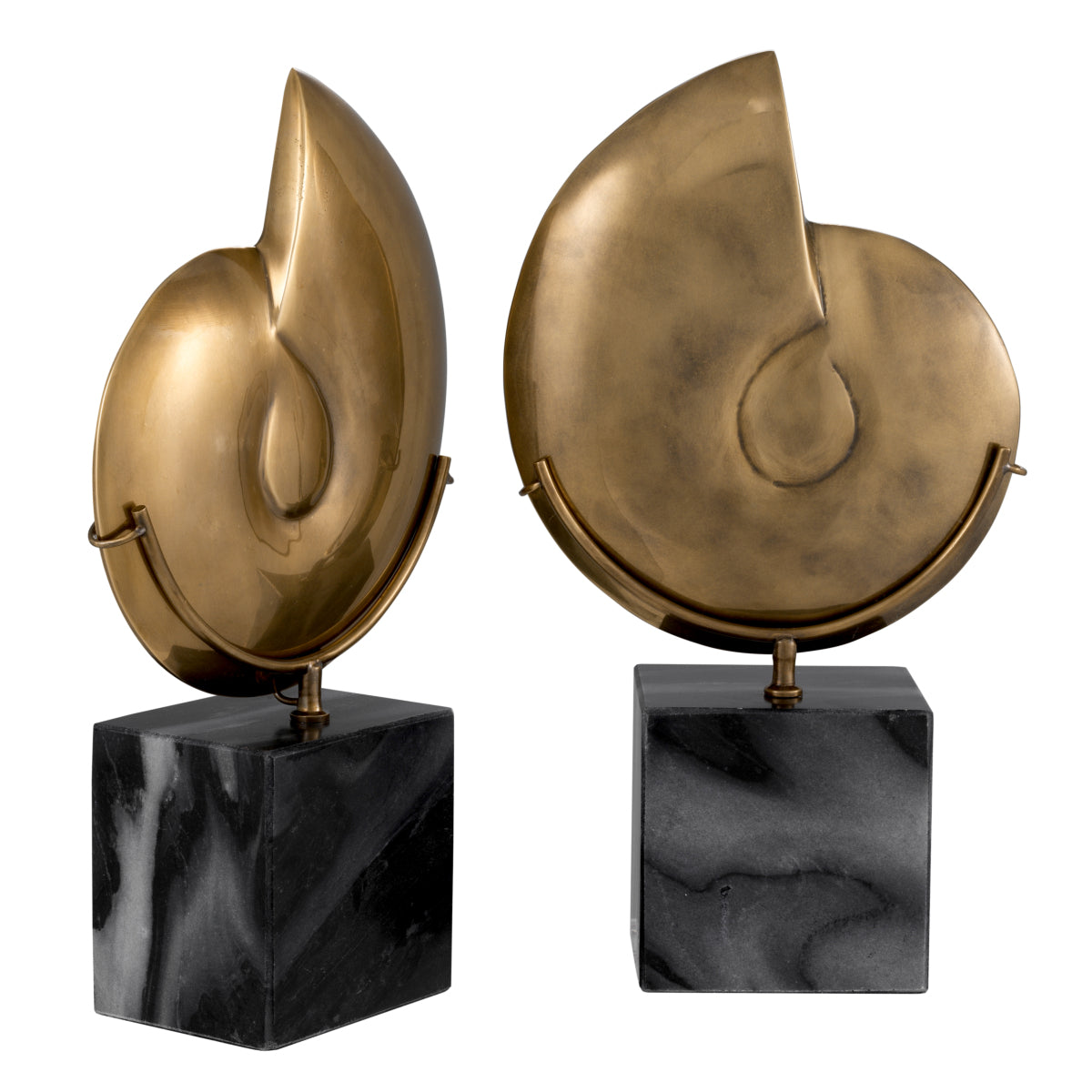 Deko-Gegenstand Ammonite Set Of 2