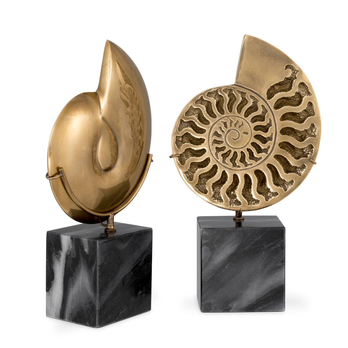 Deko-Gegenstand Ammonite Set Of 2