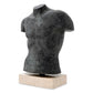 Skulptur Torso Aristo