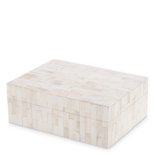 Kiste Box Scoop S