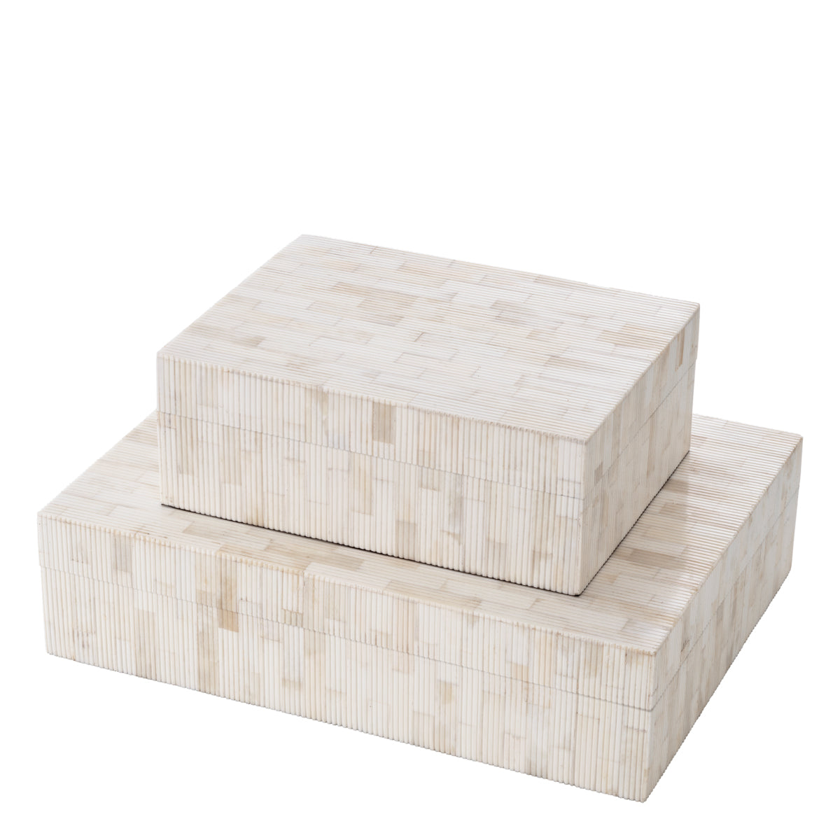 Kiste Box Scoop S