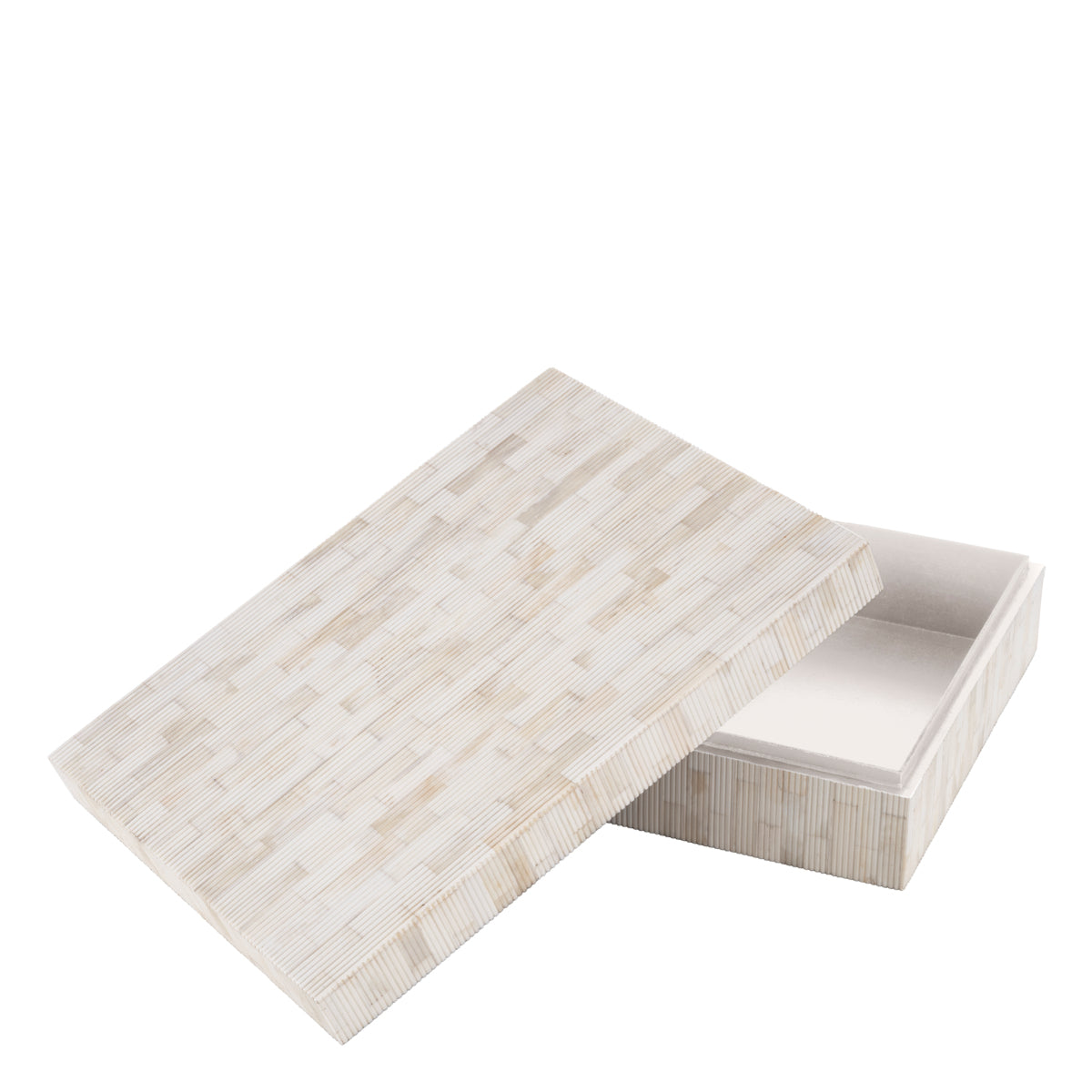 Kiste Box Scoop L
