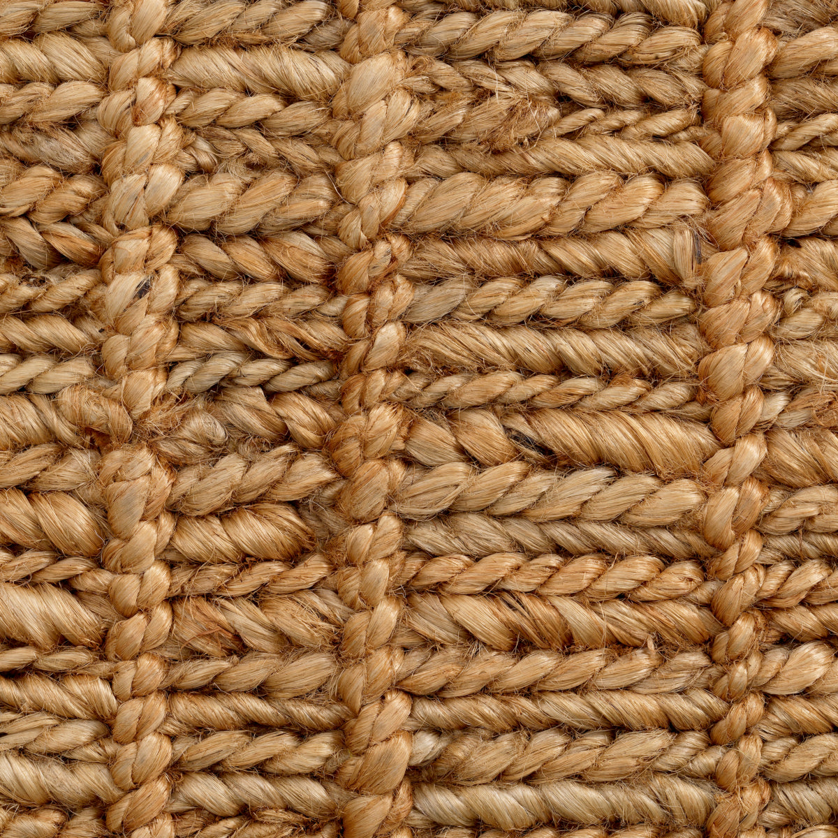 Hocker Palinuro