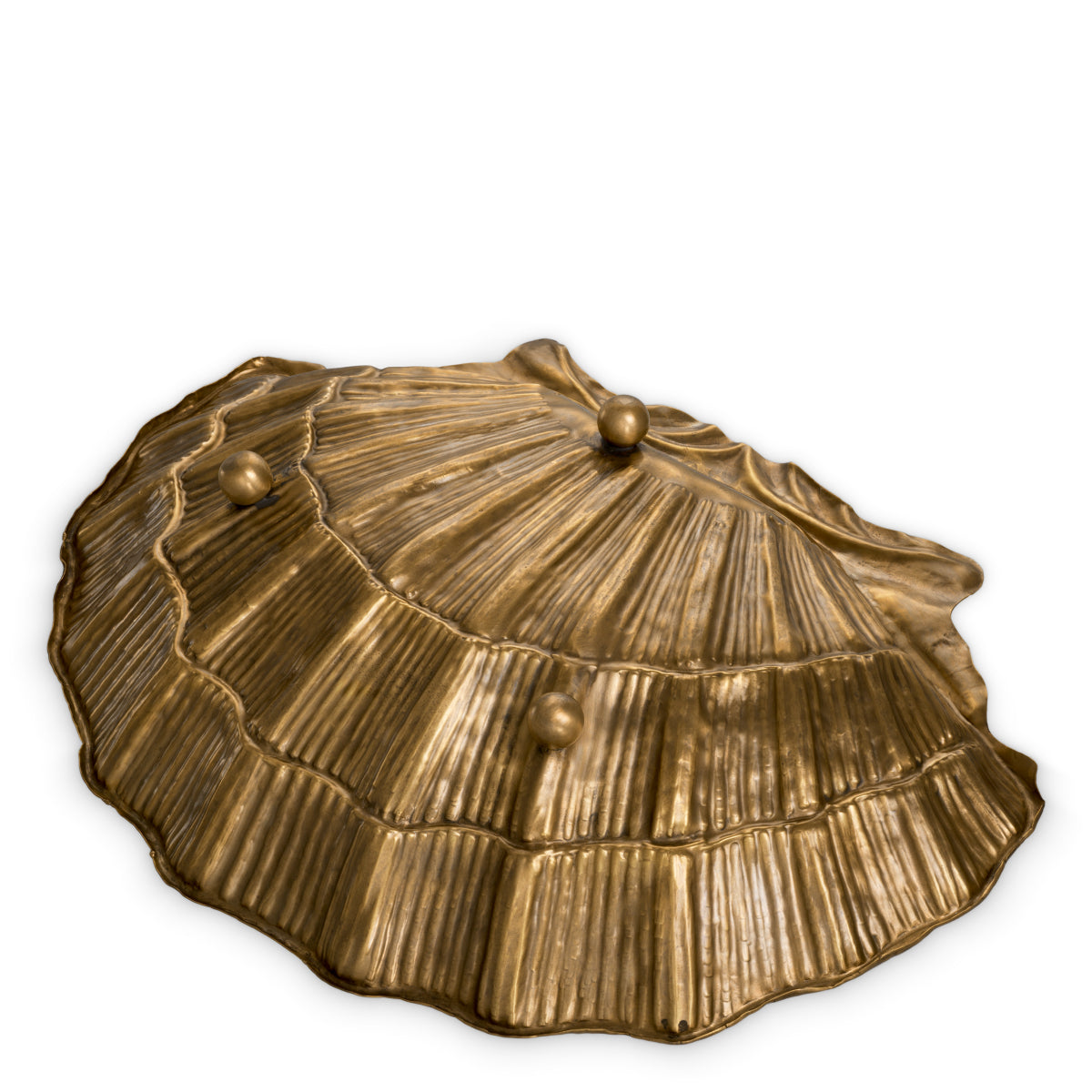 Deko-Gegenstand Seashell
