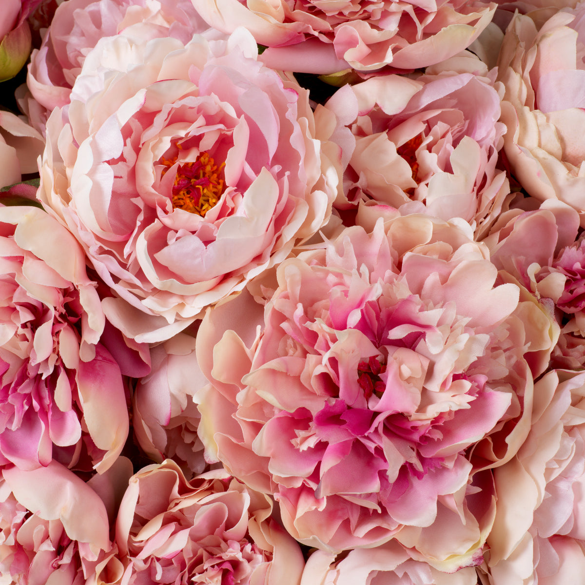 Grand Showroom '25 Bouquet Of Peonies Real Touch 48 pcs/2 Varieties