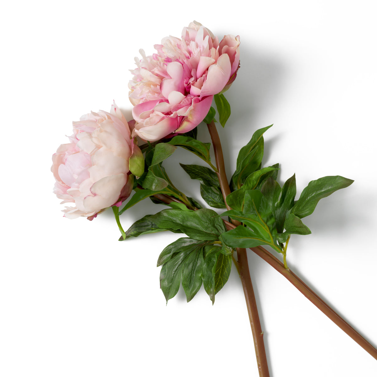 Grand Showroom '25 Bouquet Of Peonies Real Touch 48 pcs/2 Varieties