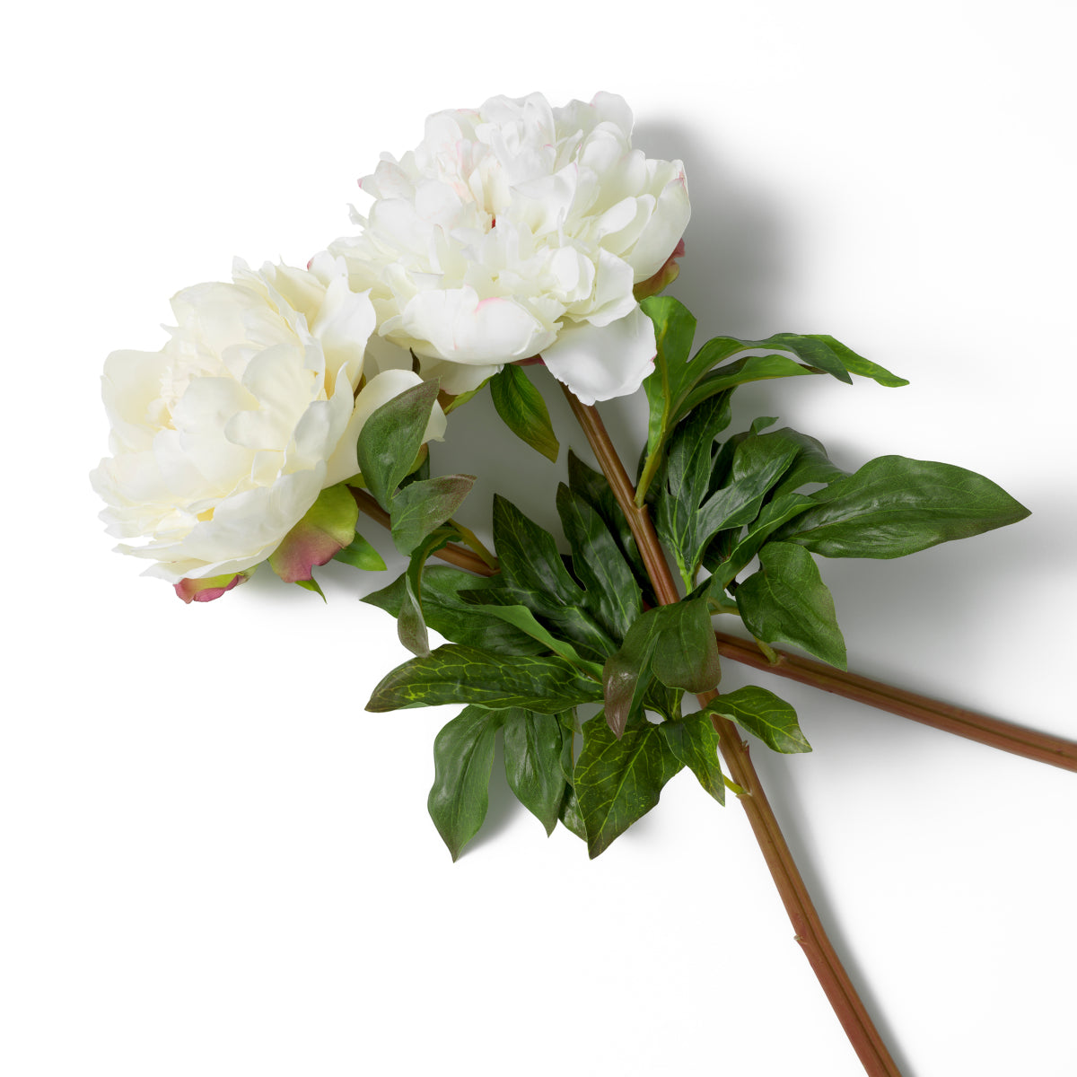 Grand Showroom '25 Bouquet Of Peonies Real Touch 48 pcs/2 Varieties