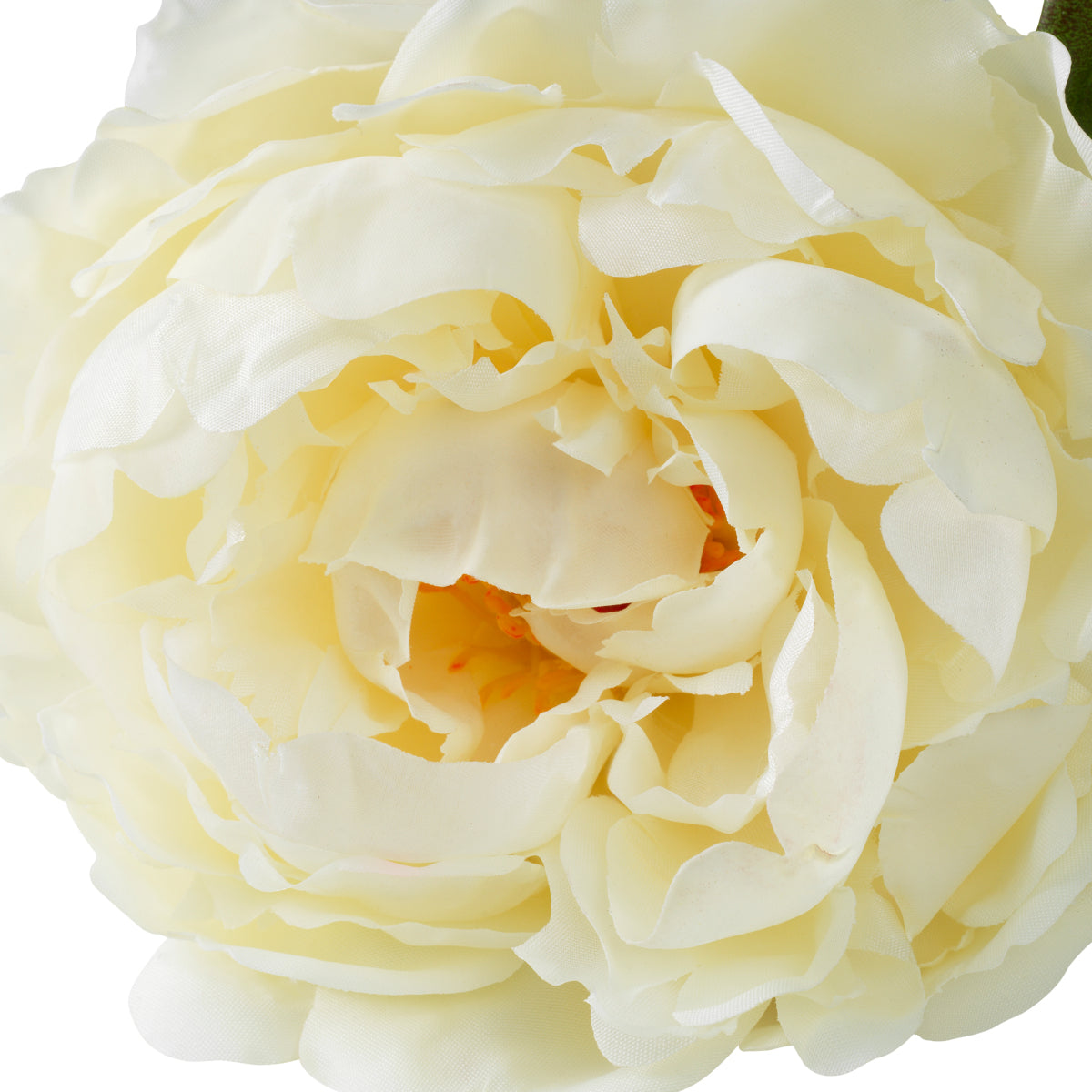 Grand Showroom '25 Bouquet Of Peonies Real Touch 48 pcs/2 Varieties