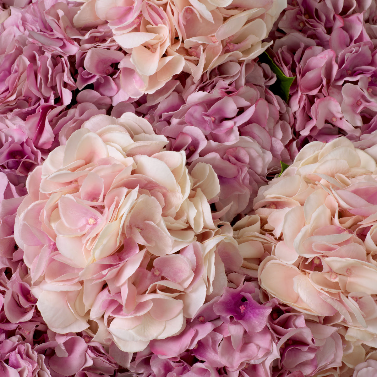 Grand Showroom '25 Bouquet Of Hydrangeas Real Touch 48 pcs/2varieties