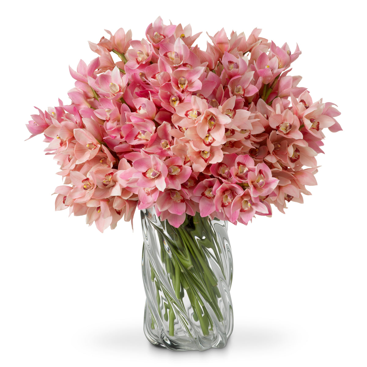 Grand Showroom '25 Bouquet Of Cymbidium Orchids Real Touch 36 Pcs