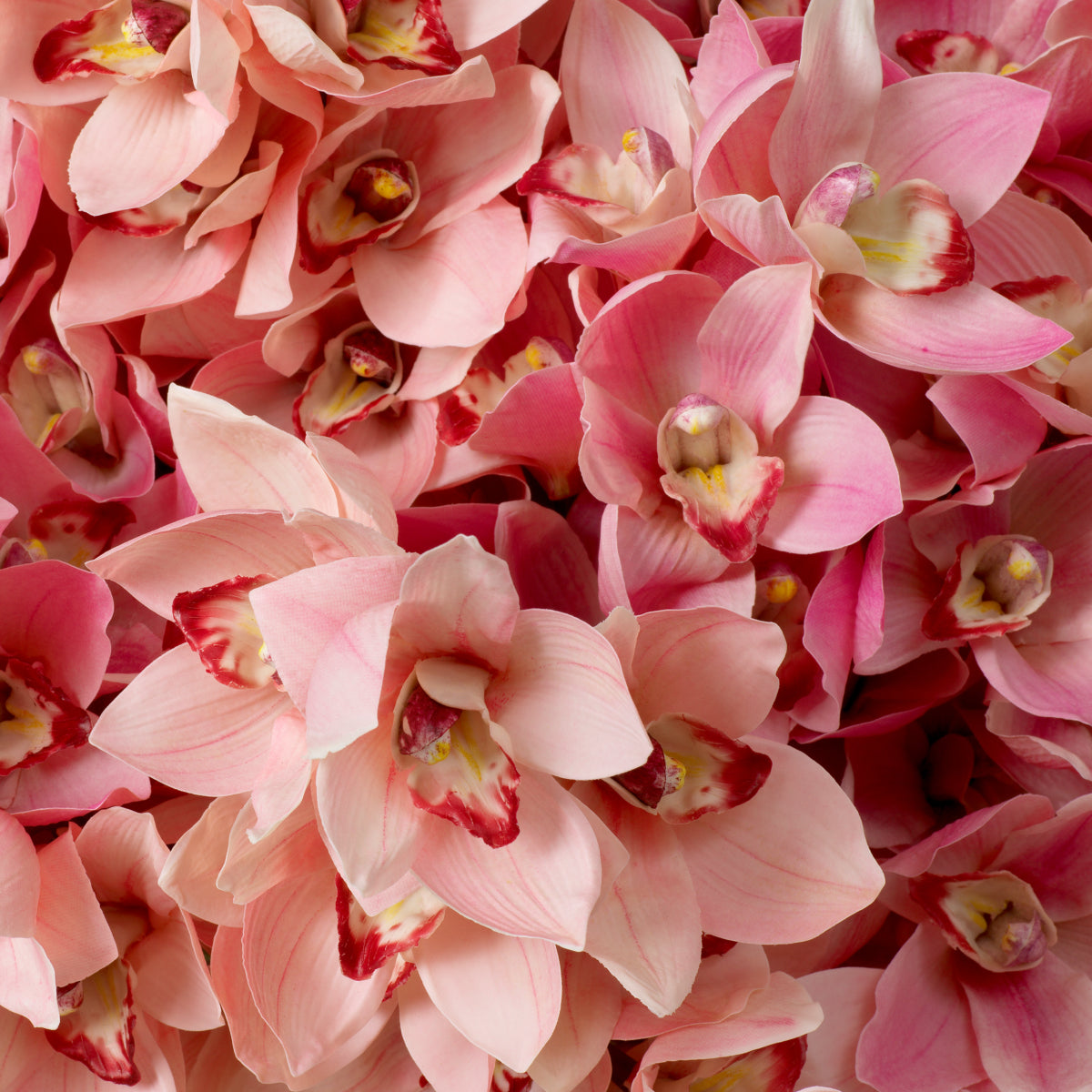 Grand Showroom '25 Bouquet Of Cymbidium Orchids Real Touch 36 Pcs
