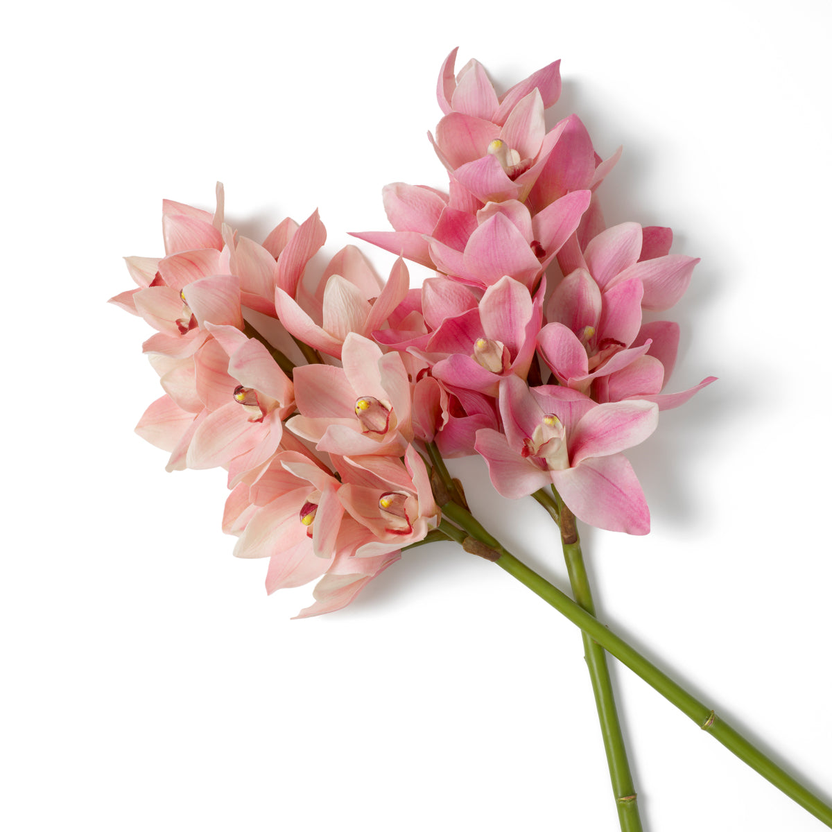 Grand Showroom '25 Bouquet Of Cymbidium Orchids Real Touch 36 Pcs
