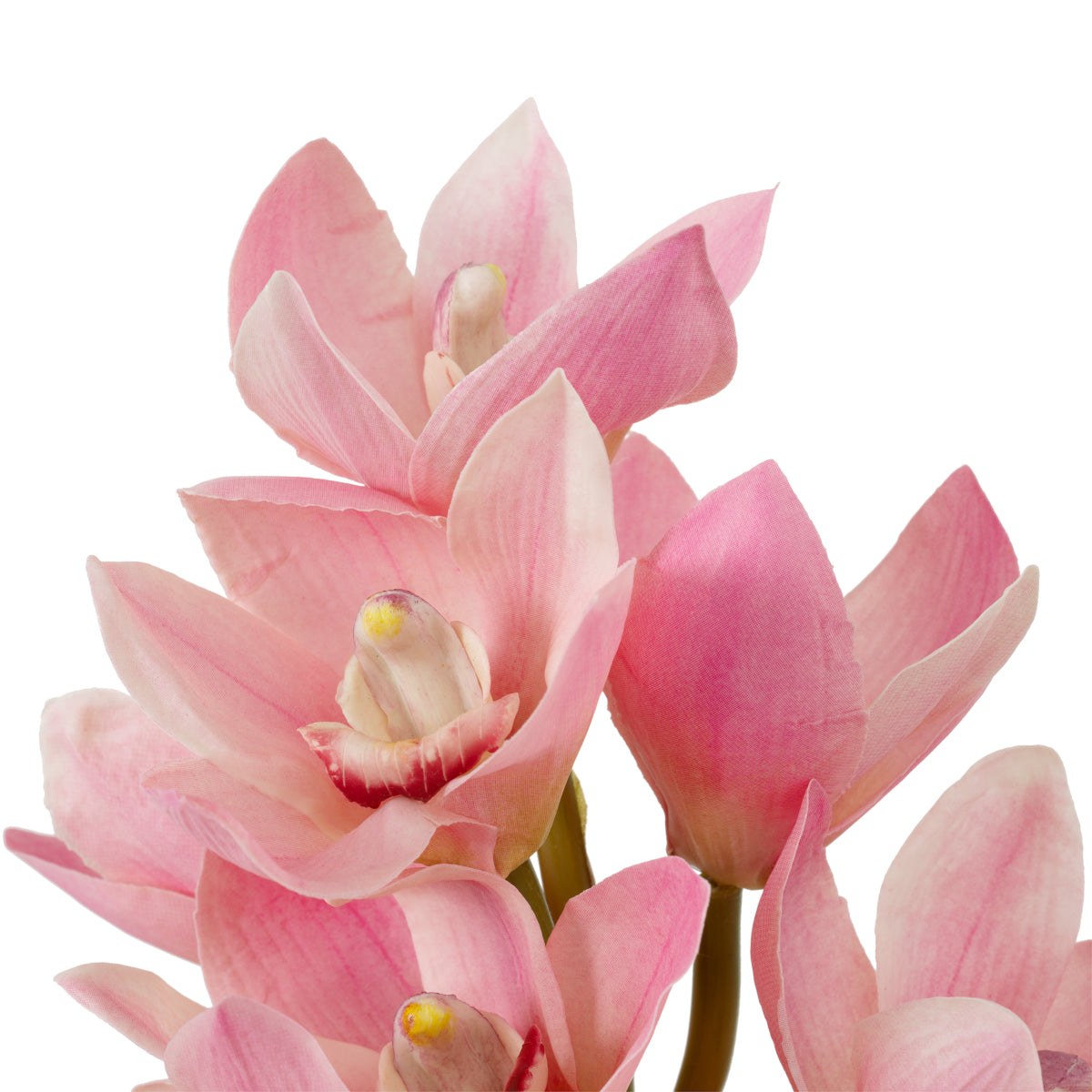 Grand Showroom '25 Bouquet Of Cymbidium Orchids Real Touch 36 Pcs