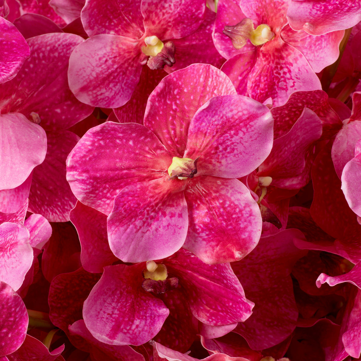 Artificial Flowers & Greenery Bouquet Of Vanda Orchids Real Touch 24 Pcs