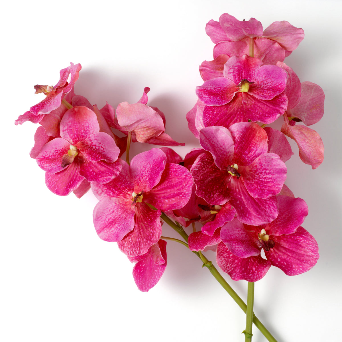 Artificial Flowers & Greenery Bouquet Of Vanda Orchids Real Touch 24 Pcs
