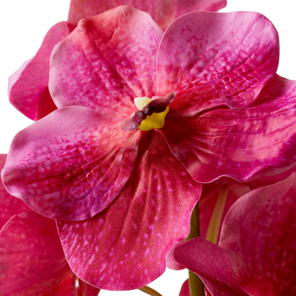 Artificial Flowers & Greenery Bouquet Of Vanda Orchids Real Touch 24 Pcs