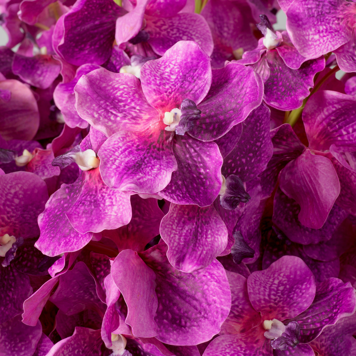 Artificial Flowers & Greenery Bouquet Of Vanda Orchids Real Touch 24 Pcs