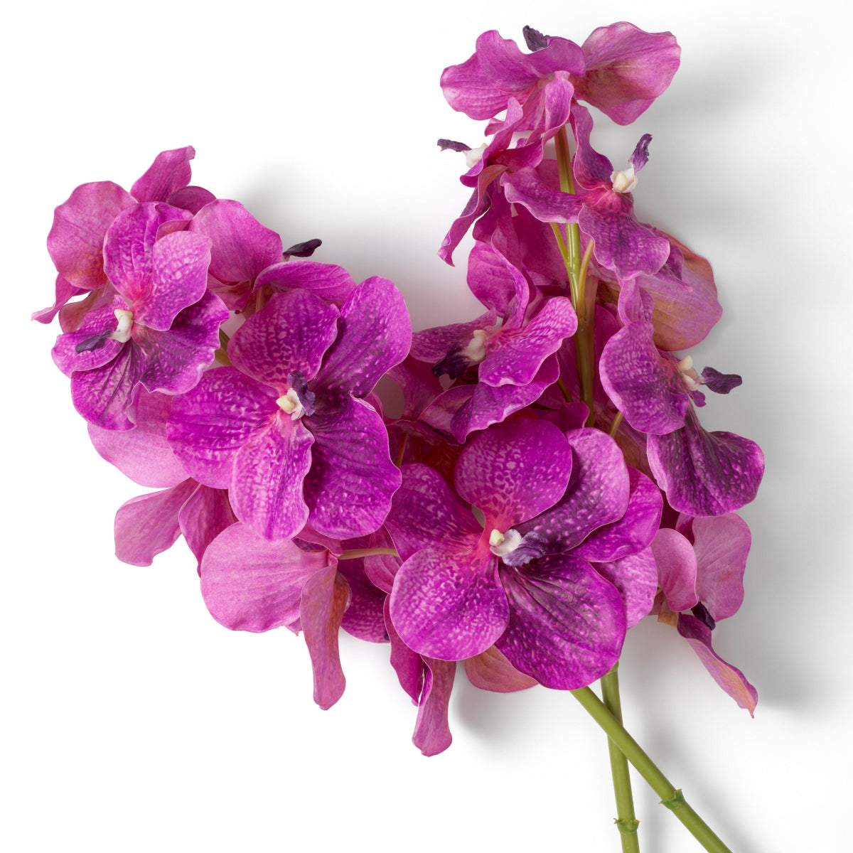 Artificial Flowers & Greenery Bouquet Of Vanda Orchids Real Touch 24 Pcs