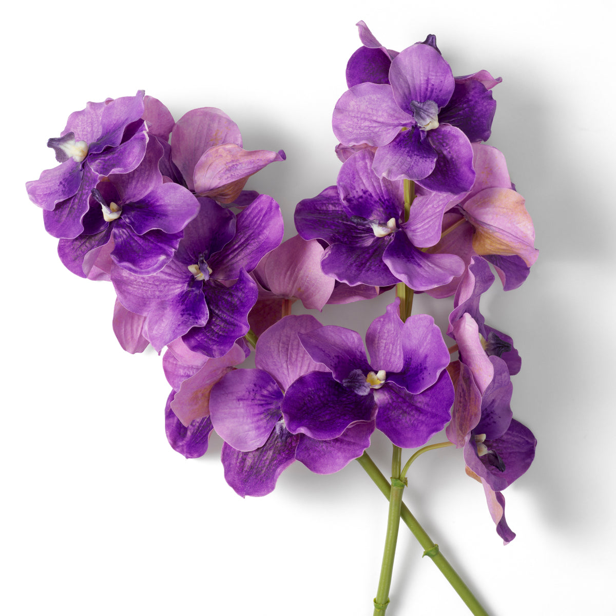 Grand Showroom '25 Bouquet Of Vanda Orchids Real Touch 24 Pcs