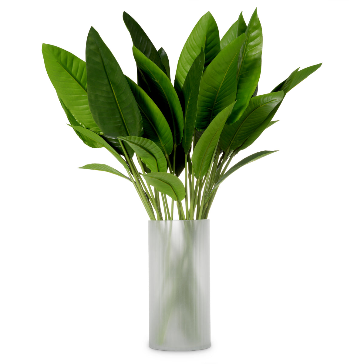 Grand Showroom '25 Bundle Of Strelitzia Leaves 36 Pcs