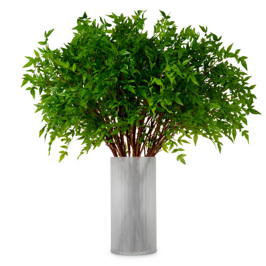 Grand Showroom '25 Bundle Of Tender Leaves 36 Pcs