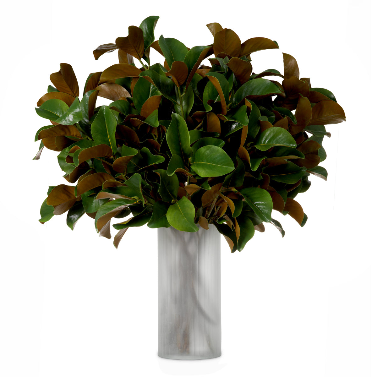 Grand Showroom '25 Bundle Of Magnolia Leaves 24 Pcs