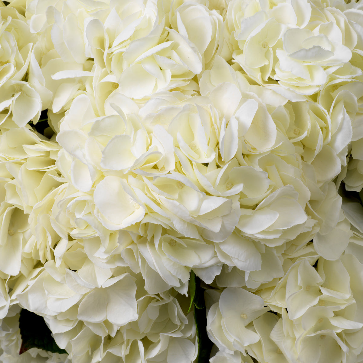 Grand Showroom '25 Bouquet Of Hydrangeas Real Touch 48 pcs/2 Varietie