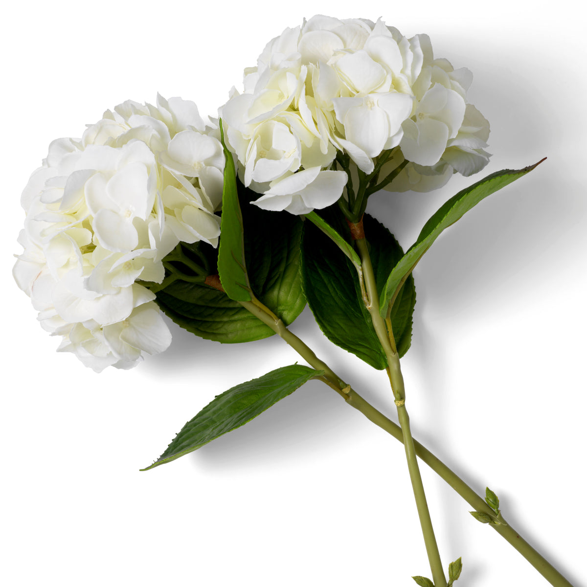 Grand Showroom '25 Bouquet Of Hydrangeas Real Touch 48 pcs/2 Varietie