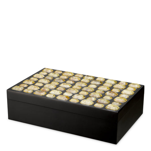 Kiste Box Lucida L