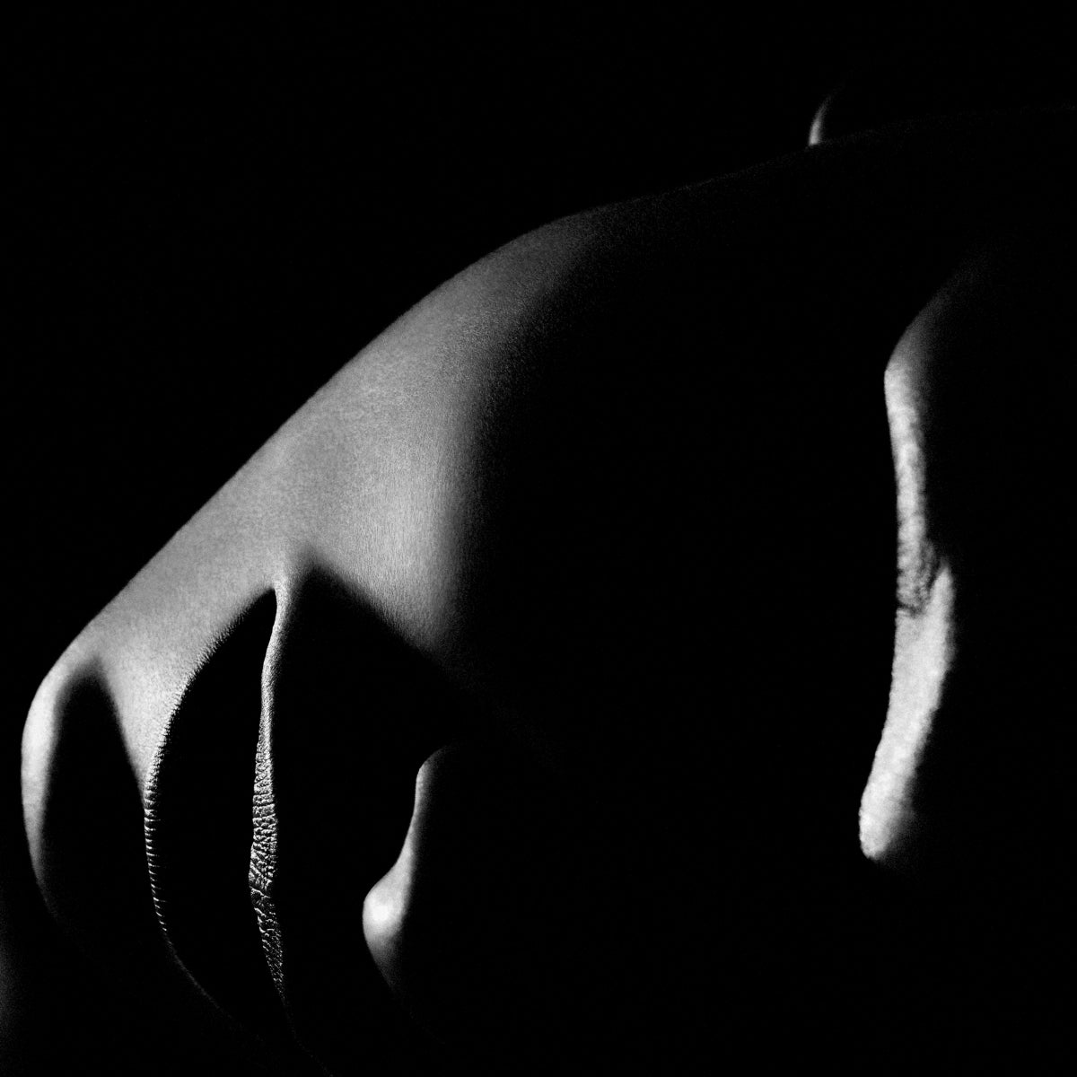 Druck Print Philippe Vogelenzang - La Nuit