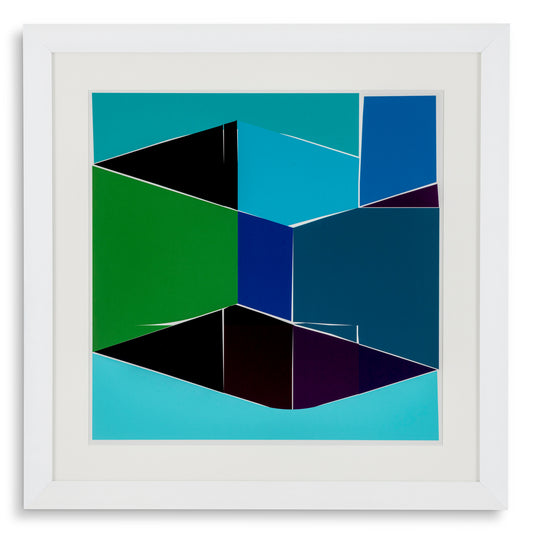 Druck Print Silkscreen From Boissière I By Henri Boissiè