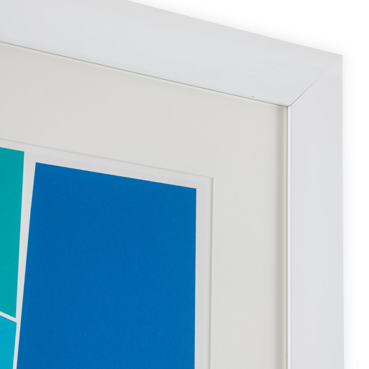 Druck Print Silkscreen From Boissière I By Henri Boissiè