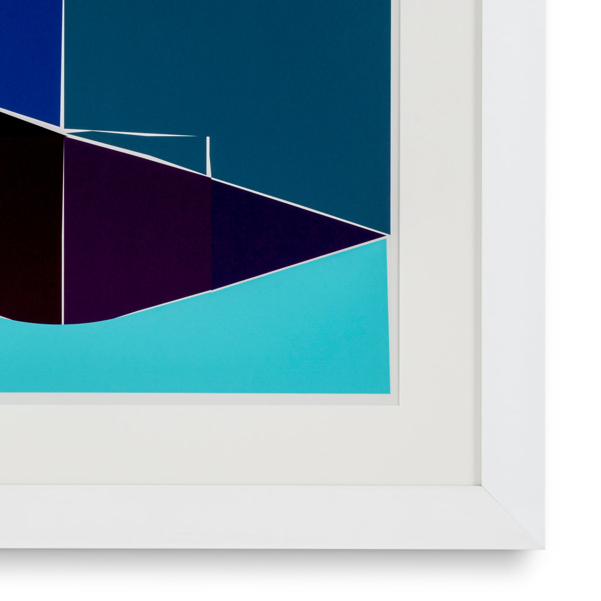 Druck Print Silkscreen From Boissière I By Henri Boissiè