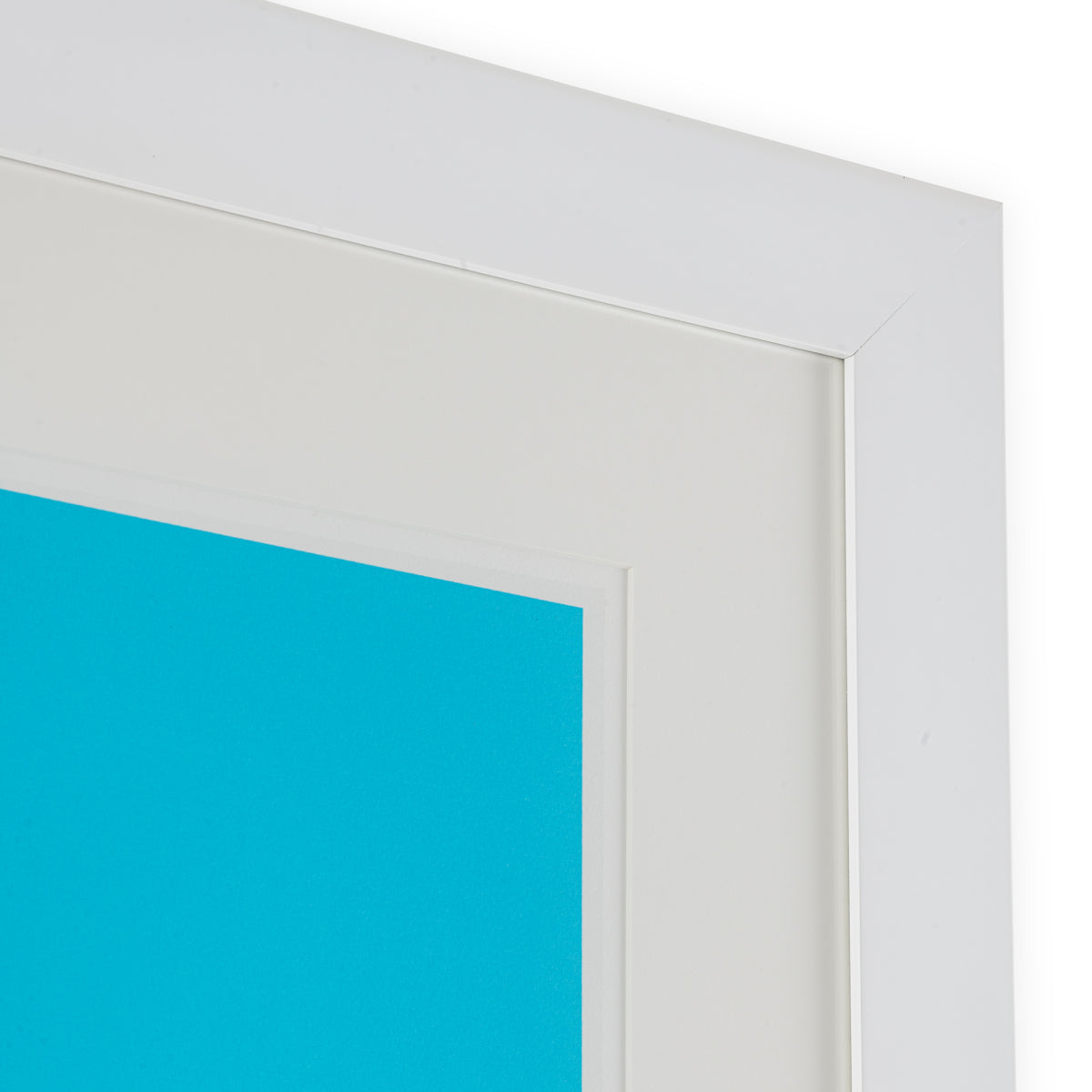 Druck Print Silkscreen From Boissière Ii By Henri Boissi