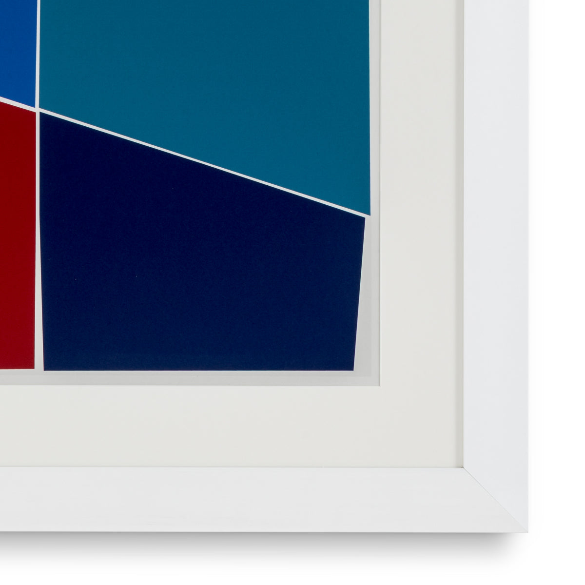 Druck Print Silkscreen From Boissière Ii By Henri Boissi