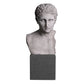 Skulptur Bust Roman Imperial