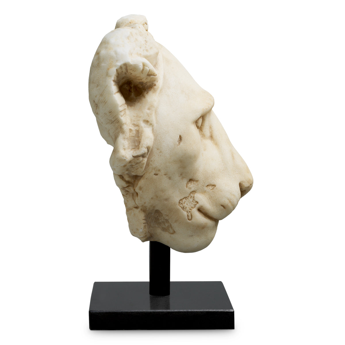 Skulptur Lion
