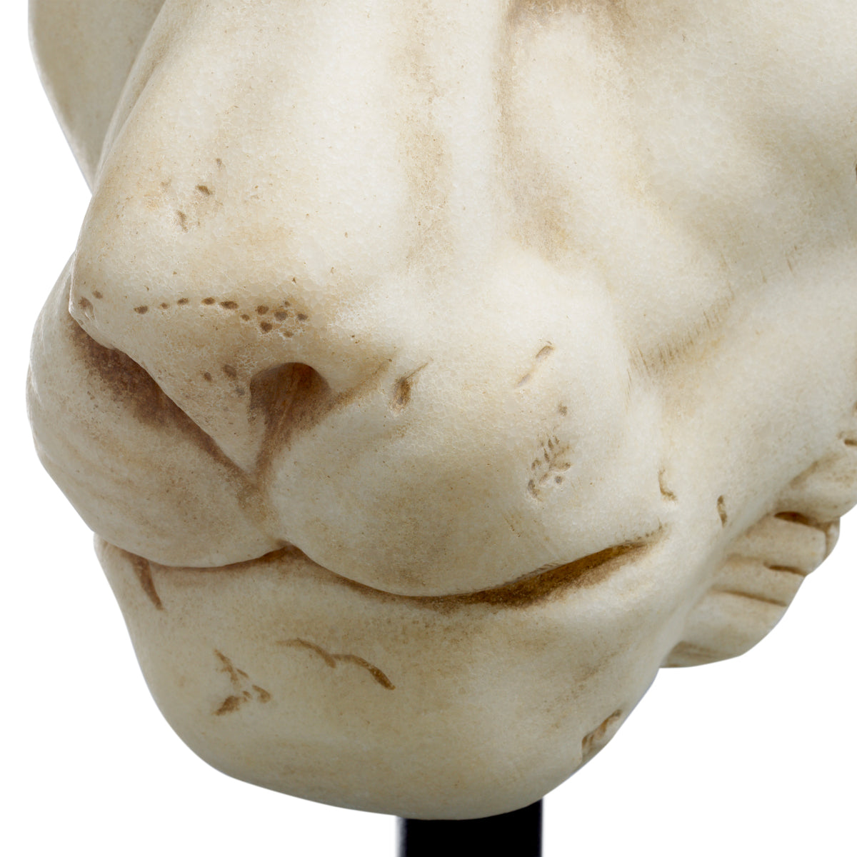 Skulptur Lion