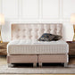 Boxspringbett Button Deluxe 180x200 mit Prince