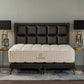 Boxspringbett Chill